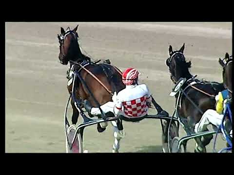 Napoli Trotto 15/04/2022 - 5ª corsa