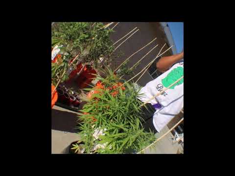 01. Eddy Baker & Purpdogg - Drug Dealer Dreams (Produced By Purpdogg)