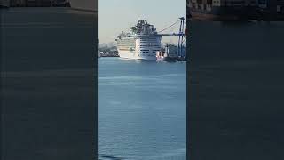 Liberty Of The Seas Docked At Port Everglades #shorts #cruiseship #libertyoftheseas