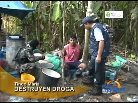 Two drug traffickers arrested in the middle of drug manufacturing in Tingo María