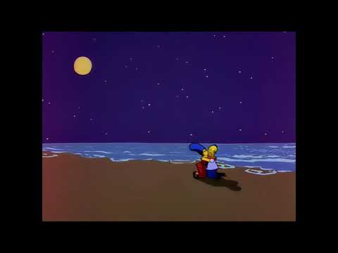 The Simpsons season 6 episode 13. Romantic evening on the beach.
