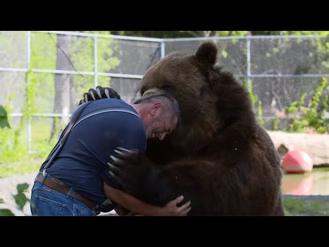 Emotional Video: Never Underestimate the Love of Animals