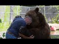 Animals Reunited With Their Owners After Years