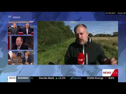 NEWS og Co gift i mosen