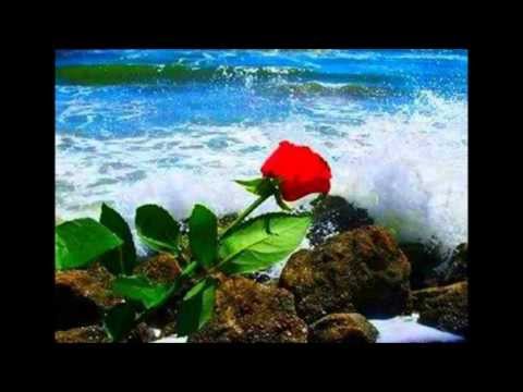 Taahine e kei fea koe By Olivier Tpltn