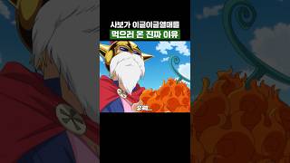 원피스) 사보가 이글이글열매를 먹으러 온 진짜 이유 #원피스