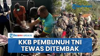 Detik-detik Anggota KKB DPO Pembunuh Prajurit TNI di Puncak Jaya Tewas Ditembak saat Melawan Aparat