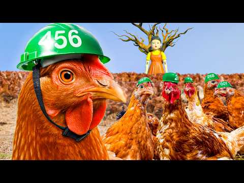 Real Life Squid Game With 456 Chickens