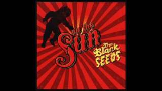 The Black Seeds - Lets get down
