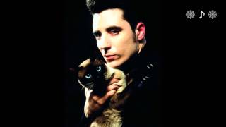 Loquillo Y Los Trogloditas - Rock &amp; roll star