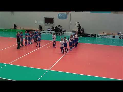 Nibacos Sininen - Blue Fox Valkoinen