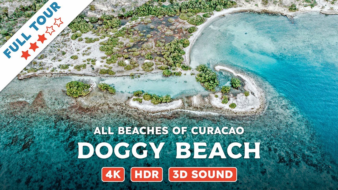 Doggy Beach