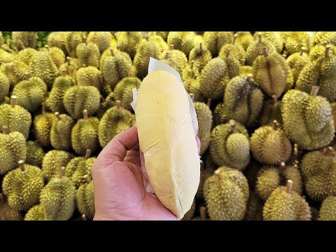 Crazy speed!!! Amazing durian cutting skill master!!! A famous durian shop in Laos!!!