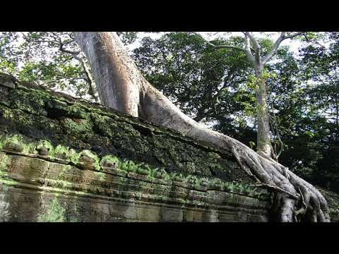 Magic Place - by Jensson (IONO Music) March2018