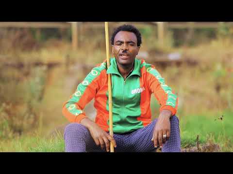 Fayyisaa Tolasaa Dhoowwatee Roorroo ethiopian oromoo music (official video )