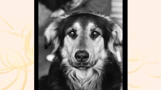 Demo Reel LDG Paola Montiel