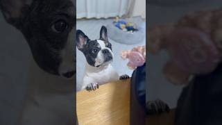 何でも自分の物だと思ってるフレブル