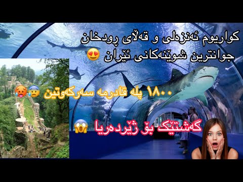 A trip to Iran 🇮🇷 Part 3 - | Bandar-e Anzali, Aquarium & Rudkhan Castle |#vlog 6