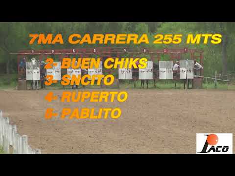 RUPERTO DON NICO 5 12 21