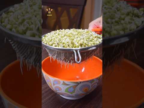 How to make sprouts at home #shorts