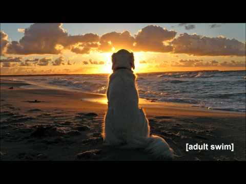 Adult Swim Bump - Carelessly Lazy