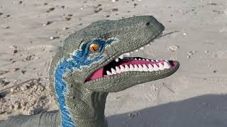 Millis DI, Inc, Massachusetts