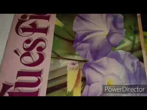 Guilherme kerr Lp tu és fiel  (Castelo Forte )1988