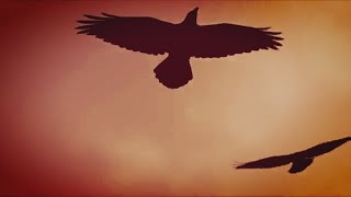Countess -  See The Ravens Fly [official video]