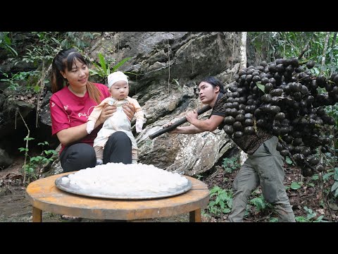 Turning wild fruits into pearl milk tea seeds – selling them at the market, farm life