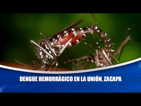 Dengue hemorrágico en La Unión, Zacapa