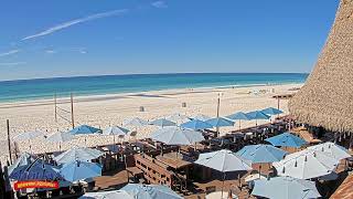Sharky's Beachfront Restaurant Live Stream