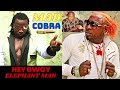 MAD COBRA - BWOY Elephant Man | BETTA GO BOOM DANDIMITE FUNERAL (Diss Track Audio)