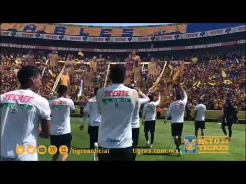 "Entrenamiento de TIGRES UANL a puertas abiertas Domingo 28/04/2019" Barra: Libres y Lokos &bull; Club: Tigres