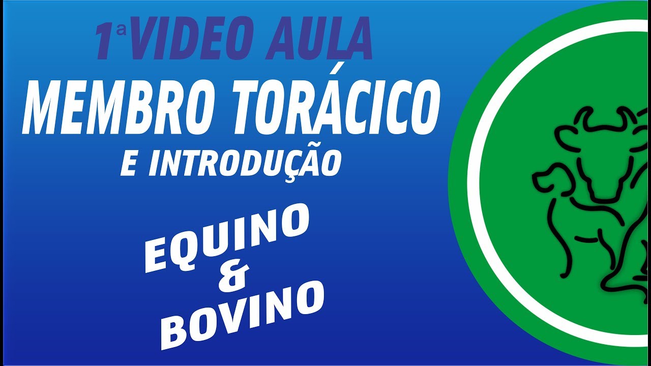 INTRODUÇÃO E OSTEOLOGIA (MEMBRO TORÁCICO)