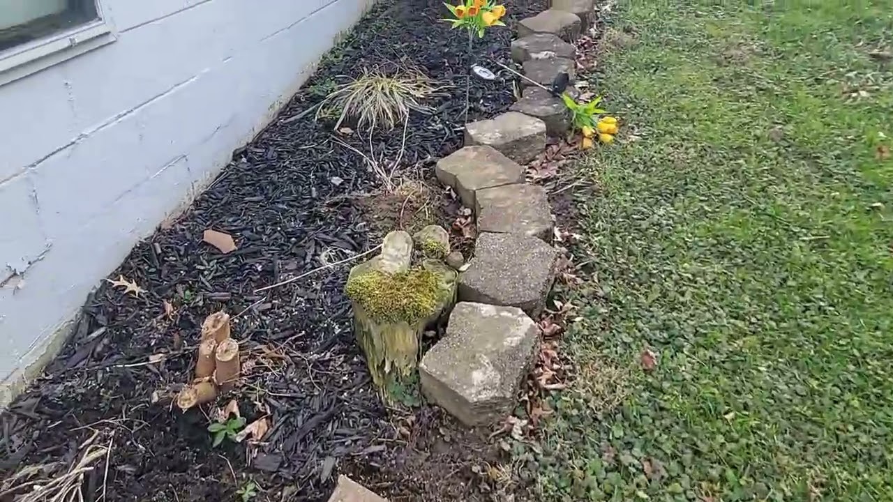 Curb Appeal: Spring Time Clean Up