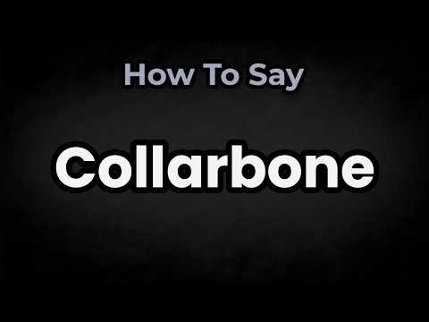 How To Pronounce Collarbone? (CORRECTLY) Meaning & Pronunciation
