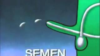 Dr. D's Crossing the Bridge Of Adolescence, The Annotated Special 2/2