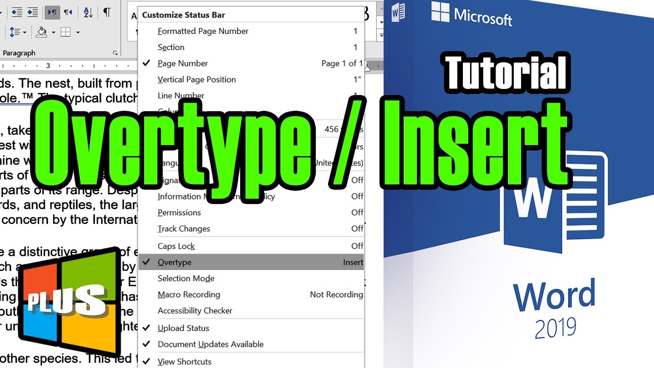 Microsoft Word 2019 Tutorial || Insert or Over type text