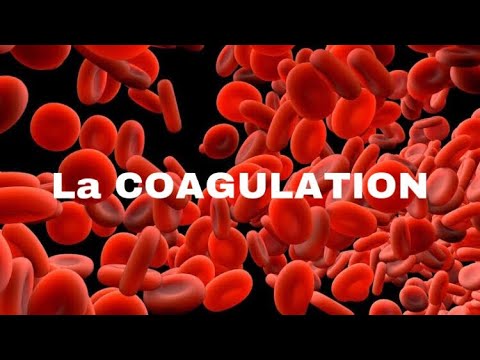 🔺 L'EXPLICATION LA PLUS SIMPLE DE LA CASCADE DE COAGULATION