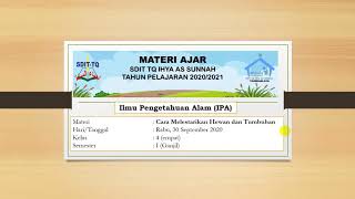 Download lagu Cara Melestarikan Hewan dan Tumbuhan (IPA kelas 4 SD) mp3 Download lagu Cara Melestarikan Hewan dan Tumbuhan (IPA kelas 4 SD) mp3