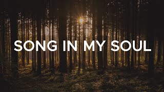 Song In My Soul ~ Phil Wickham (Lyrics ft.hollyn