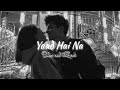 Yaad Hai Na Slow Reverb AD