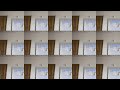 ATTIC 2 HOURS