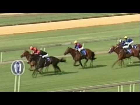 Tony Ruffel Stakes (Grade 3) 2014