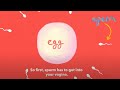 How Long Does It Take To Get Pregnant After Sex Planned Parenthood Video