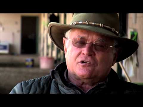 Kentucky Derby 140 - Road to the Derby