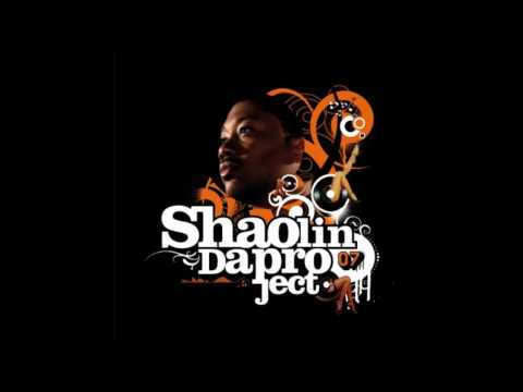 Shaolin jutsu blllllrrrr.wmv