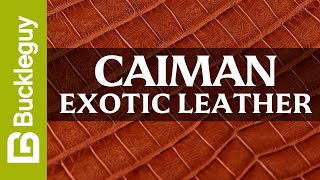 Exotic Leather, Caiman | Full Grain Leather Demo
