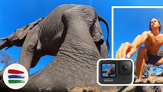 ELEPHANT SMASHES MY GOPRO! and Kids Summer Schoool Swim Lessons in Africa