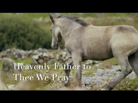 677 SDA Hymn - Heavenly Father, to Thee We Pray (Singing w/ Lyrics)